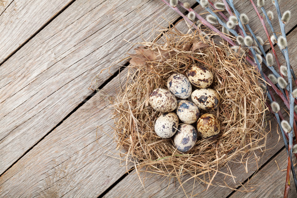 Quails eggs in nest on rustic wooden background Stock photo © karandaev