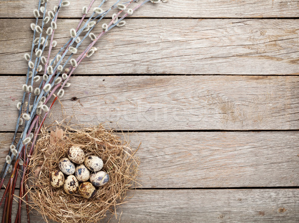 Stock photo: Quails eggs in nest on rustic wooden background