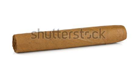 Cuban cigar Stock photo © karandaev