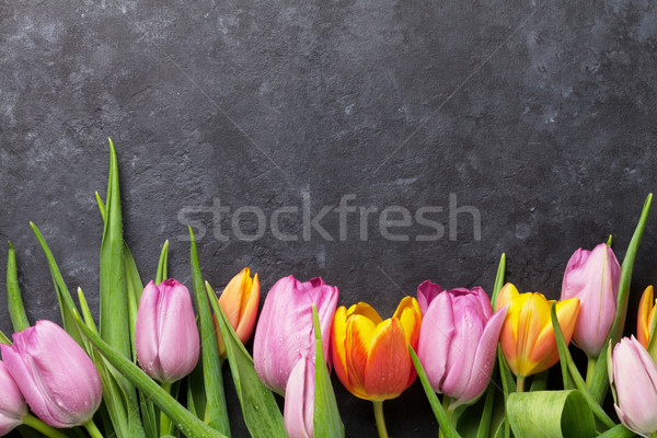 Fresh colorful tulip flowers Stock photo © karandaev