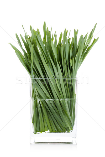 Green grass in glass vase Stock photo © karandaev