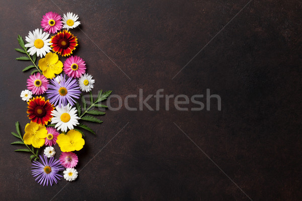 Garden flowers on stone Stock photo © karandaev