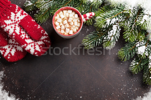 Navidad chocolate caliente malvavisco superior vista Foto stock © karandaev