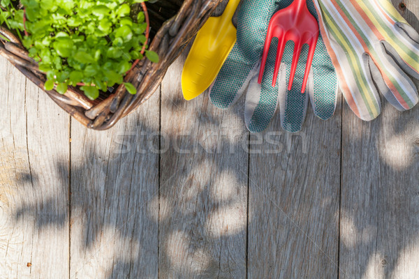 Gardening tools and seedling on garden table Stock photo © karandaev