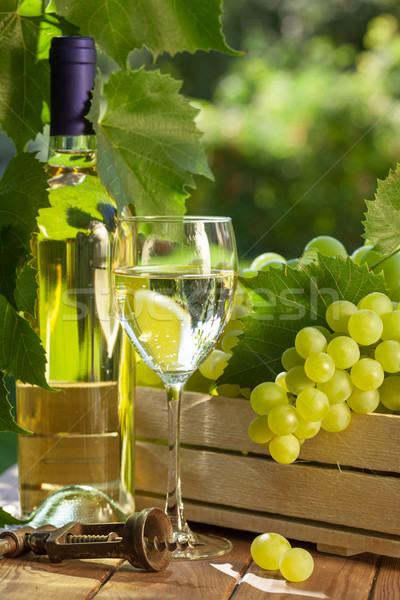 Foto stock: Vinho · branco · uvas · garrafa · de · vinho · branco · vidro · videira · monte