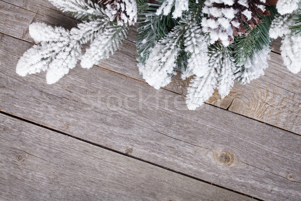 Cubierto nieve árbol madera Foto stock © karandaev