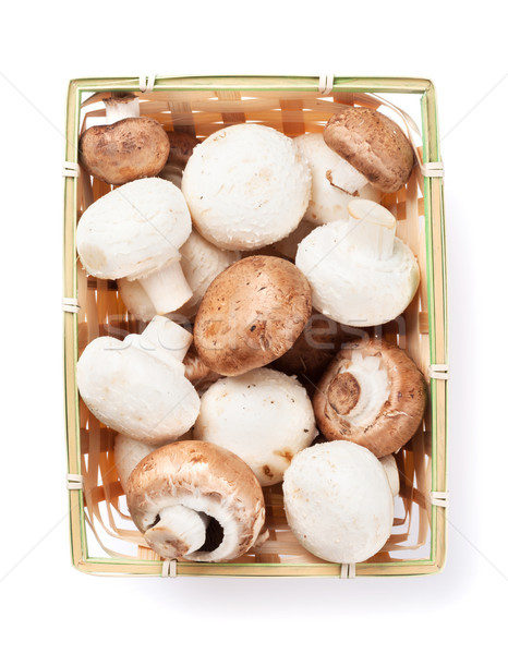 Champignon ciuperci izolat alb studio legume Imagine de stoc © karandaev