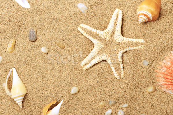 [[stock_photo]]: Starfish · mentir · sable · ciel · paysage · fond