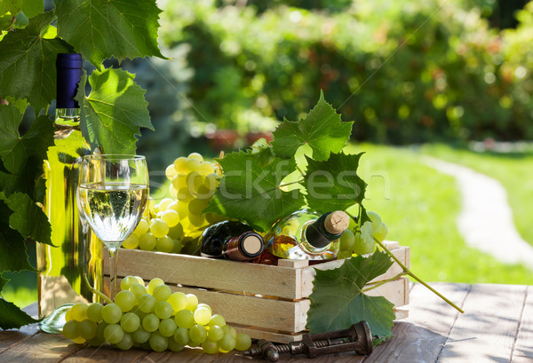 Vin struguri alb vin rosu sticlă sticlă Imagine de stoc © karandaev