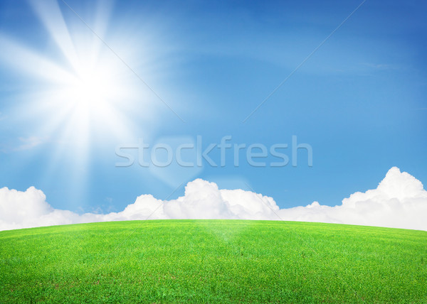 Green grass field and blue sky with sun Stock photo © karandaev