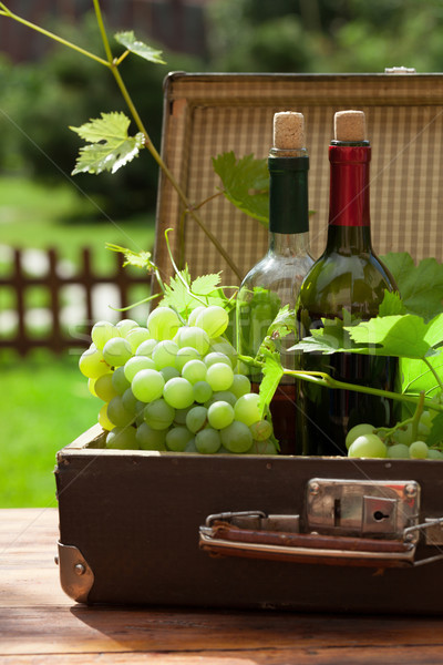Fehér szőlő üvegek bor fa asztal napos Stock fotó © karandaev