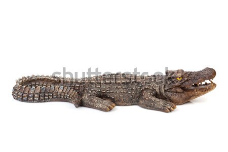 Wildlife crocodile open mouth Stock photo © karandaev