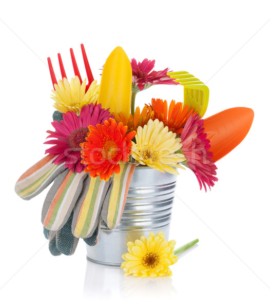 [[stock_photo]]: Coloré · fleurs · jardin · outils · isolé · blanche