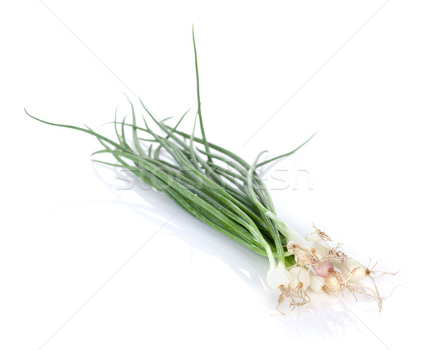 Fresh garden herbs. Spring onion Stock photo © karandaev