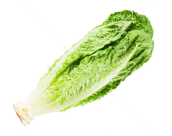 Imagine de stoc: Salată · verde · salată · izolat · alb · natură · fundal