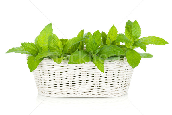 Basket of fresh mint Stock photo © karandaev