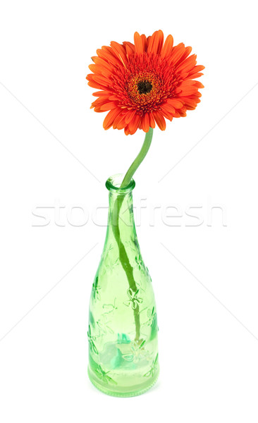 Gerbera flower in green bottle Stock photo © karandaev