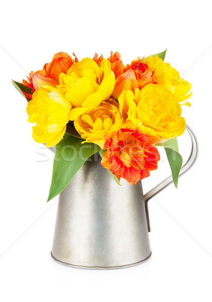 Foto stock: Colorido · tulipanes · ramo · regadera · aislado · blanco