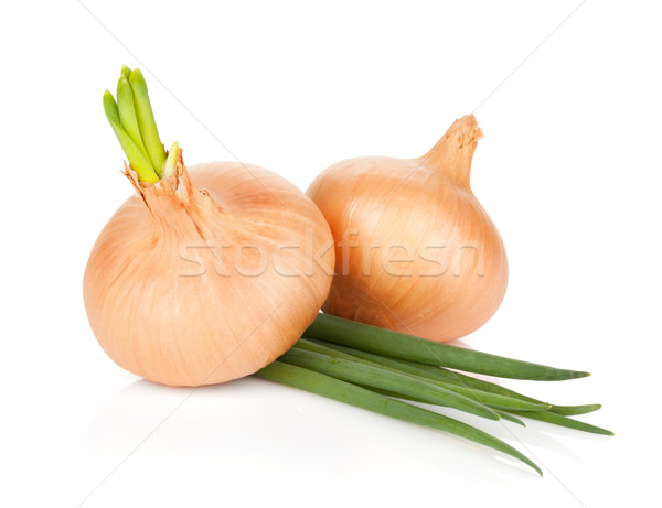 Fresh ripe onion Stock photo © karandaev