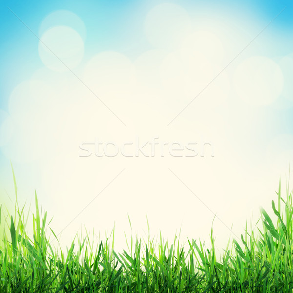 Abstract însorit primăvară iarbă bokeh retro Imagine de stoc © karandaev