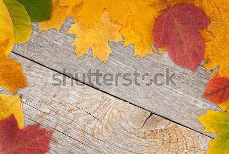 Stock photo: Autumn leaves on wood