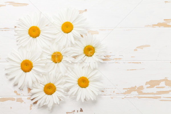 Garden chamomile flowers on wooden background Stock photo © karandaev