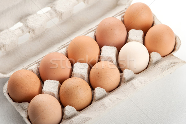 the hen's eggs in pack Stock photo © karandaev