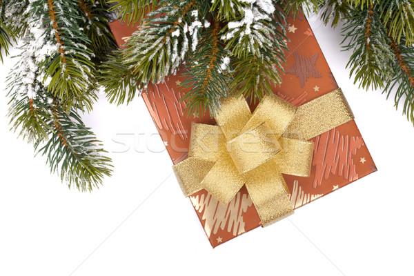 Weihnachten Geschenkbox isoliert weiß glücklich Stock foto © karandaev