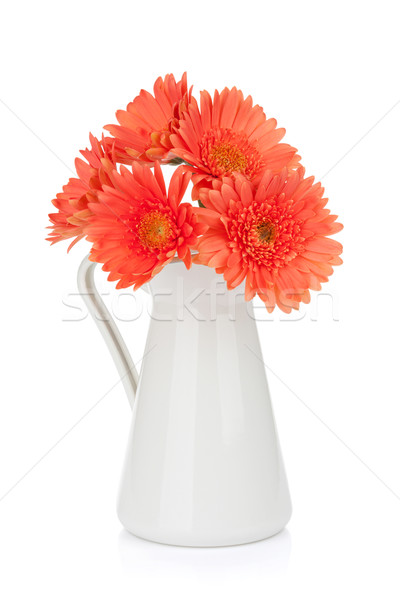 Сток-фото: оранжевый · цветы · изолированный · белый · фон · красоту