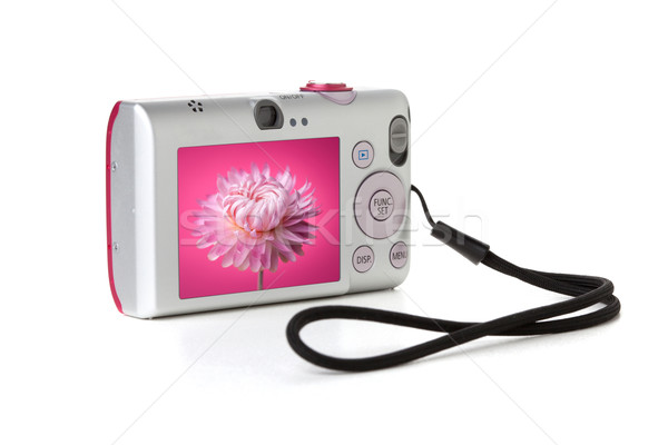 Kompakt dijital fotoğraf makinesi pembe çiçek göstermek yalıtılmış beyaz Stok fotoğraf © karandaev