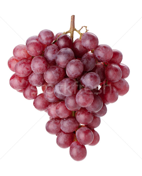 Fresh red grapes branch Stock photo © karandaev
