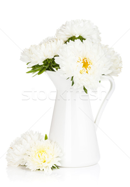 Stock photo: White aster flowers