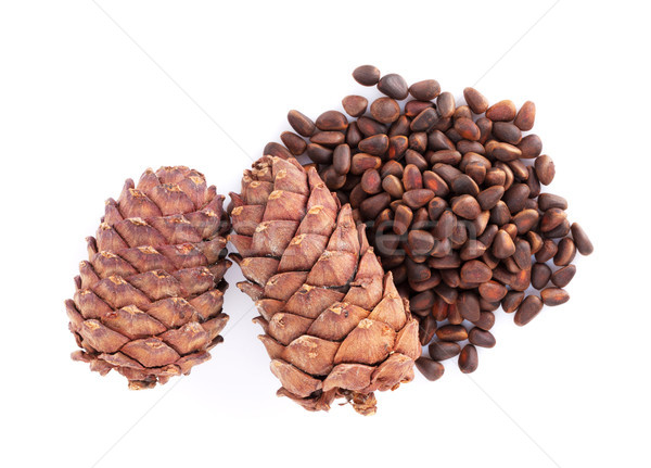 Pine nuts Stock photo © karandaev