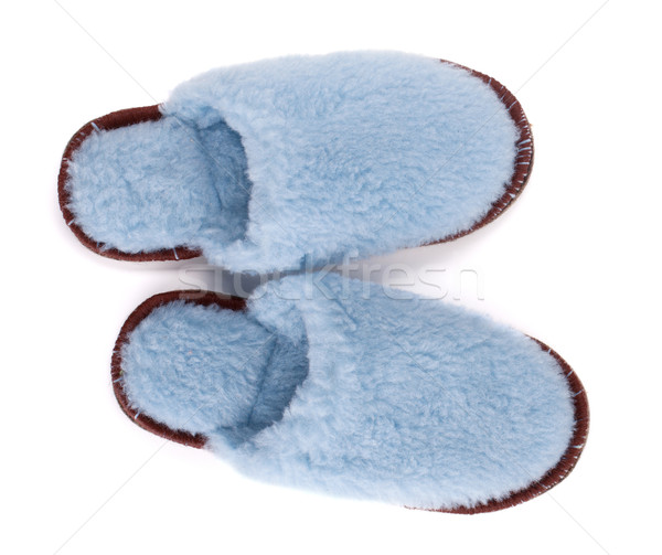 Pair of house slippers Stock photo © karandaev