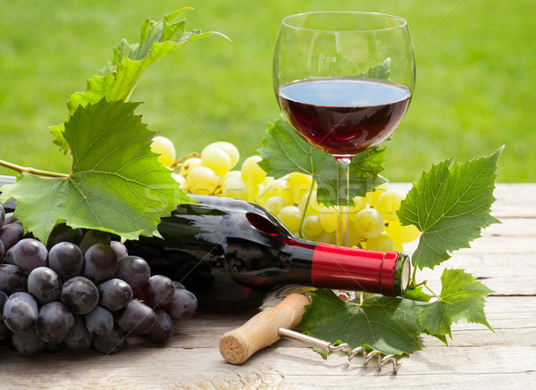 Red wine glass and bottle with bunch of grapes Stock photo © karandaev