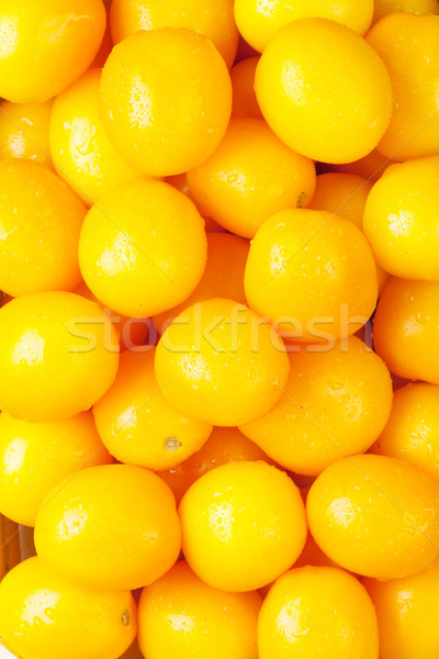 Fresh garden yellow tomatoes Stock photo © karandaev