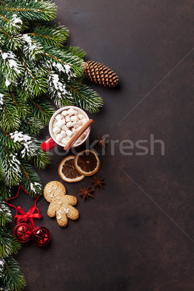 Noel sıcak çikolata hatmi üst görmek Stok fotoğraf © karandaev