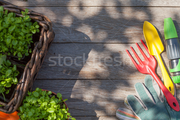 Stock fotó: Kerti · eszközök · palánta · kert · asztal · felső · kilátás