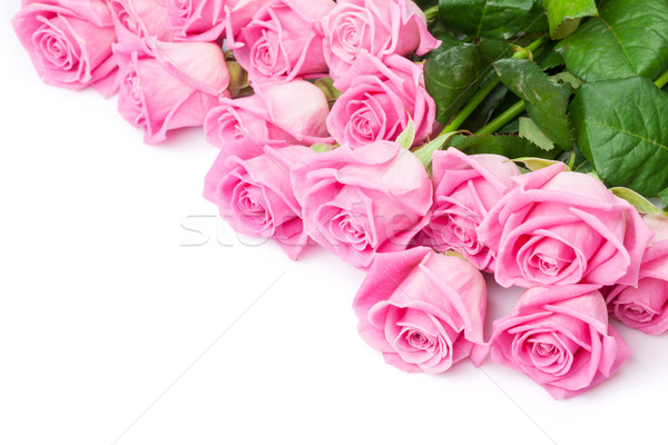 Valentines day background with pink roses Stock photo © karandaev