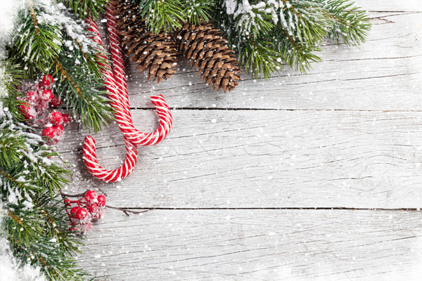 Christmas snow fir tree and candy canes Stock photo © karandaev