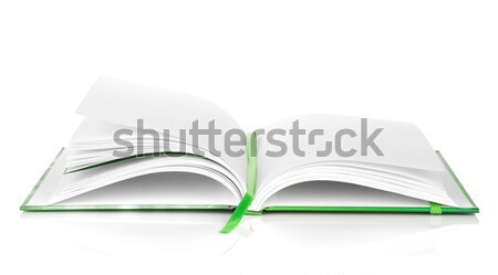 [[stock_photo]]: Bureau · organisateur · isolé · blanche · affaires · papier