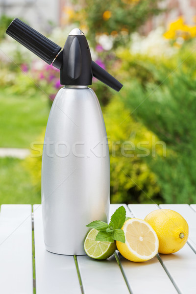 Siphon with soda Stock photo © karandaev