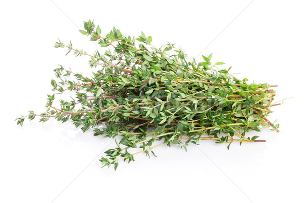 Fresh garden thyme herb Stock photo © karandaev
