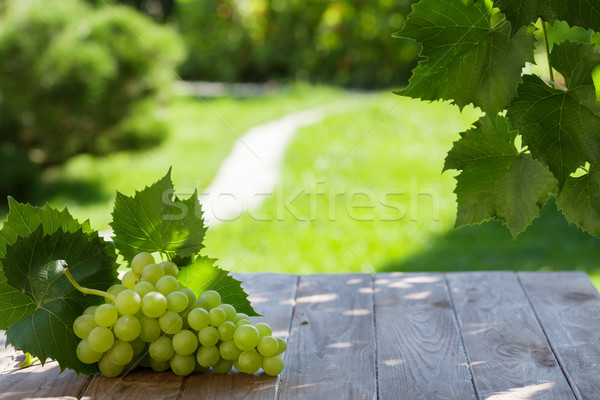 Foto stock: Branco · uvas · jardim · tabela · ver · cópia · espaço