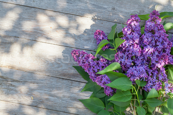 Purple lilac flowers on garden table Stock photo © karandaev