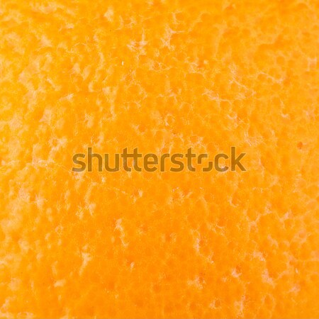 Macro food collection - Orange rind Stock photo © karandaev