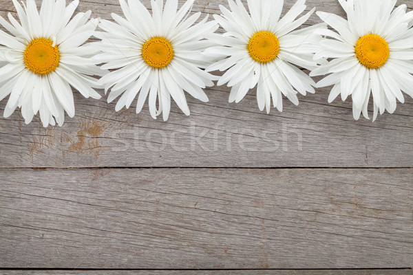 Daisy camomile flowers on wooden background Stock photo © karandaev