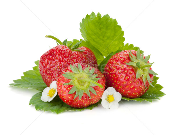 Photo stock: Trois · fraise · fruits · feuilles · vertes · fleurs · isolé