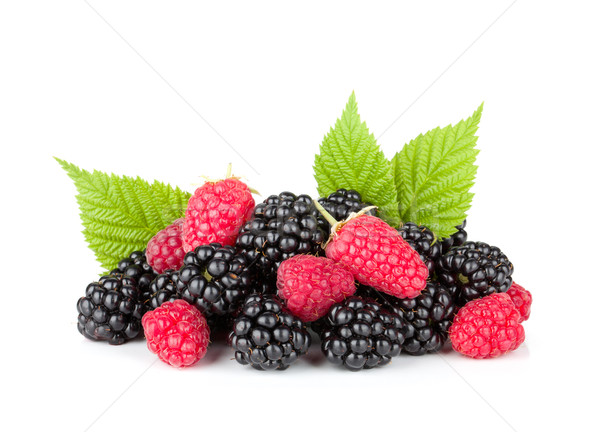 黑莓 覆盆子 孤立 白 食品 葉 商業照片 © karandaev