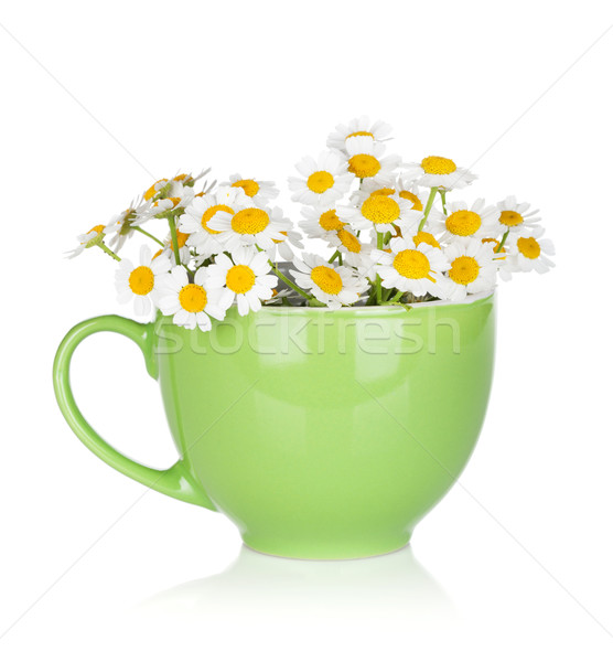 Grüntee Tasse isoliert weiß Blume Blumen Stock foto © karandaev